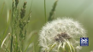 Spring allergy season is well underway