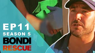 Woman Is A Danger To Herself At The Beach | Bondi Rescue  Season 5 Episode 11 (OFFICIAL UPLOAD)