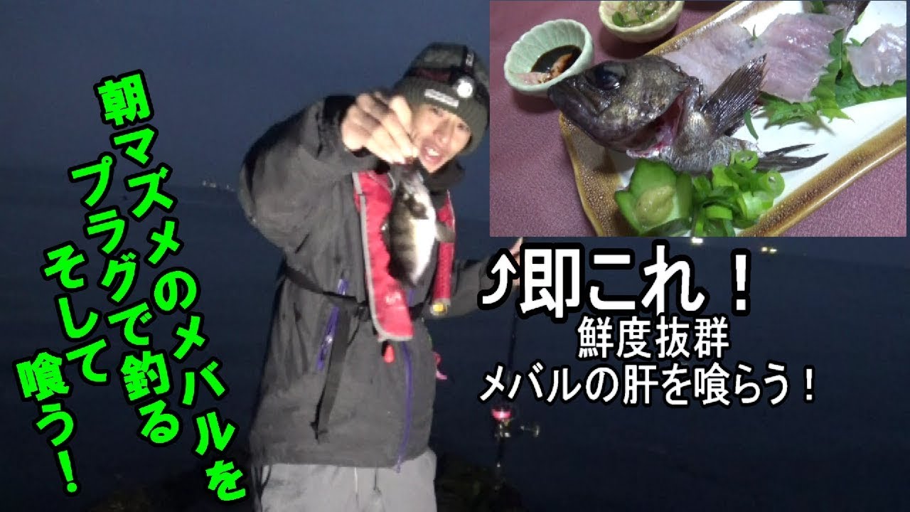ルアーでメバル そして鮮度抜群の肝を喰らう Youtube ルアーでメバル そして鮮度抜群の肝を喰らう Youtube