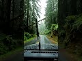 മനസ്സ് നിറയ്ക്കുന്ന മഴയാത്ര | Rainy Drive through the Forest MalayalamTravel,