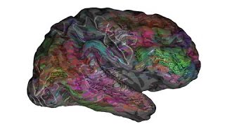 Scientists Discover Human Brain Is a Living Word Cloud Profile