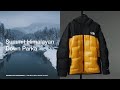 Summit Series Himalayan Down Parka | The North Face