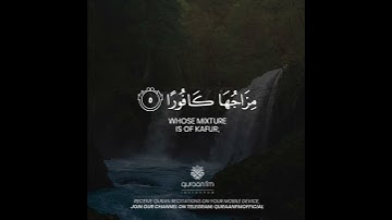 القارئ طارق محمد | Qari Tareq Mohammad