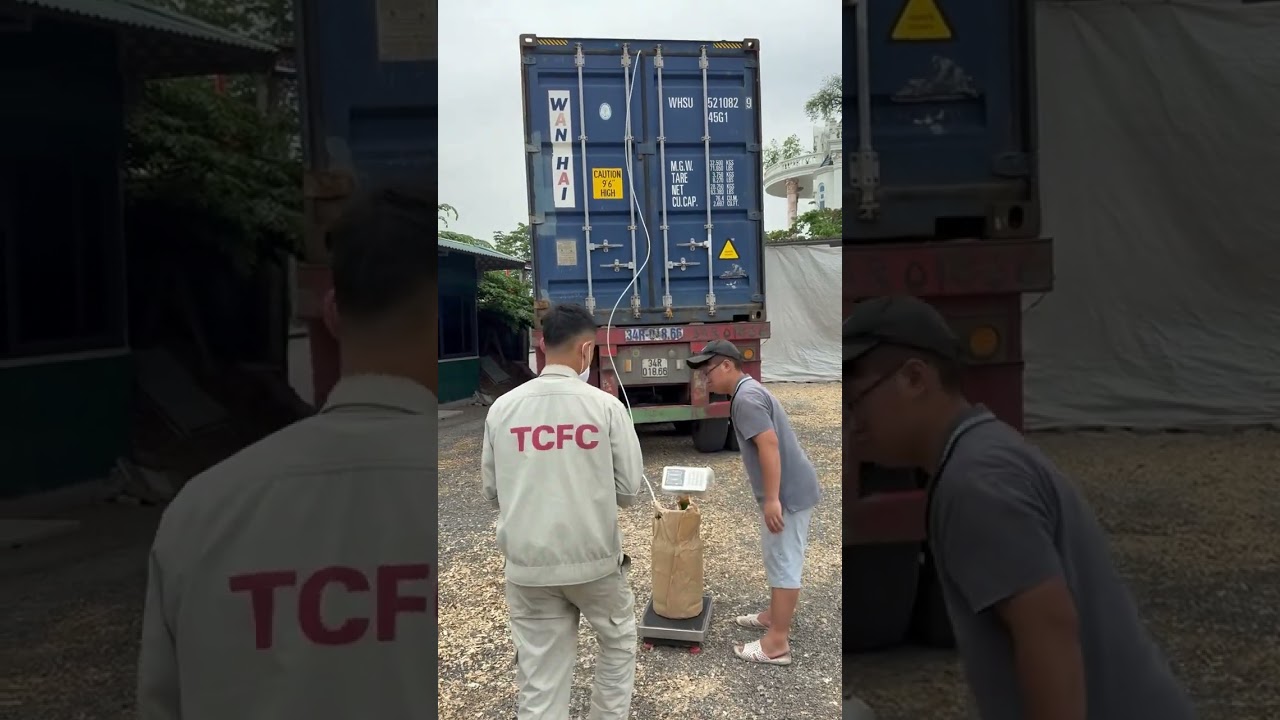 🪾🪵 Fumigation at warehouse 🌟 an important part of wood export