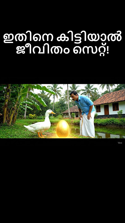 Myth or Reality? 🤫 Golden Egg Mystery in a Kerala Backyard