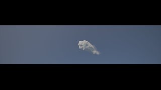 Roaring Lion Cloud Figure VDB UE5