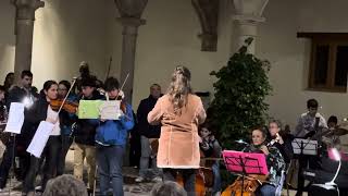 La orquesta y la banda de la Escuela Municipal de Música de Ávila celebra Santa Cecilia