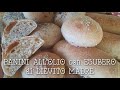 PANINI ALL'OLIO con ESUBERO di Lievito Madre