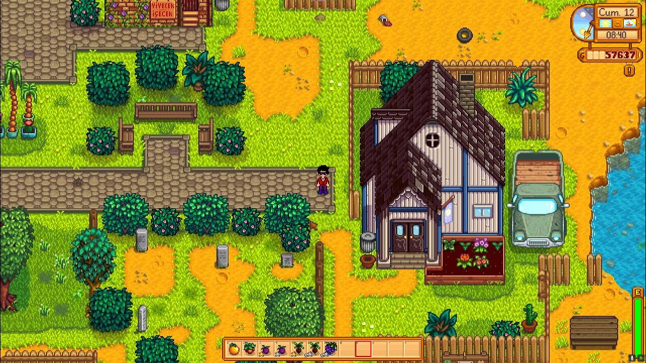 Найти шорты мэра в stardew. Радужный осколок Stardew Valley. Стардью Валли Радужный осколок. Радужный осколок старлью. Разрушенный дом Stardew Valley.