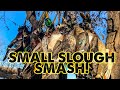 Small SLOUGH Wood Duck SMASH!!