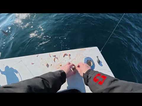 Fishing for Tautog / Blackfish on Double Trouble out of Ocean City, MD - December, 2025. Fishing for Tautog / Blackfish on Double Trouble out of Ocean City, MD - December, 2025.