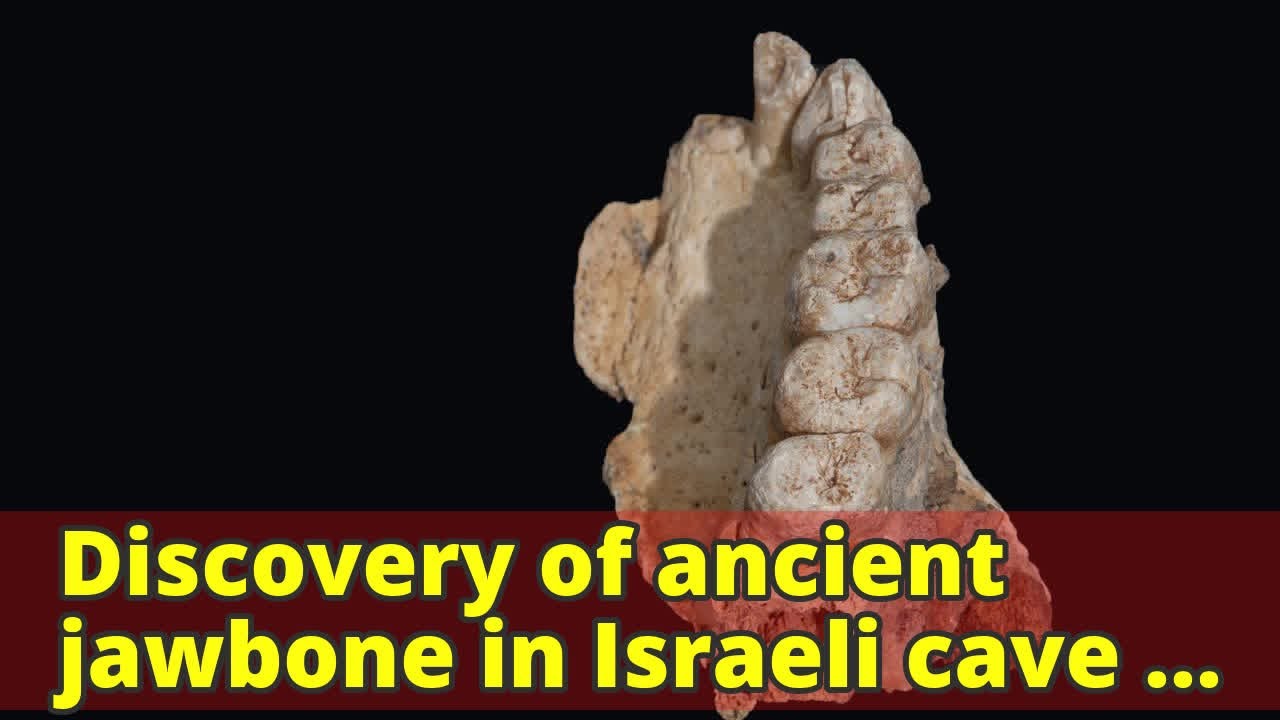 Discovery of ancient jawbone in Israeli cave suggests humans left Africa 50,000 years earlier