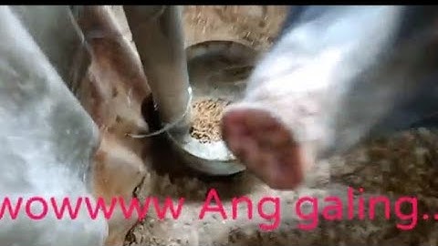 (Part 2) DIY Automatic l Pig Feeder...