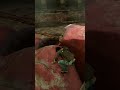 カタパルト発射 「アンチャーテッド: 黄金刀と消えた船団」 PS4