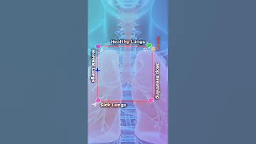 Lungs Test 8 Lungs Health Healthtips Lungstest Stemina Steminatest 