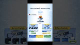 Office Network Topology