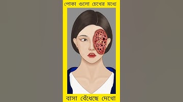 asmr animation relaxing video #asmr #youtube #shorts