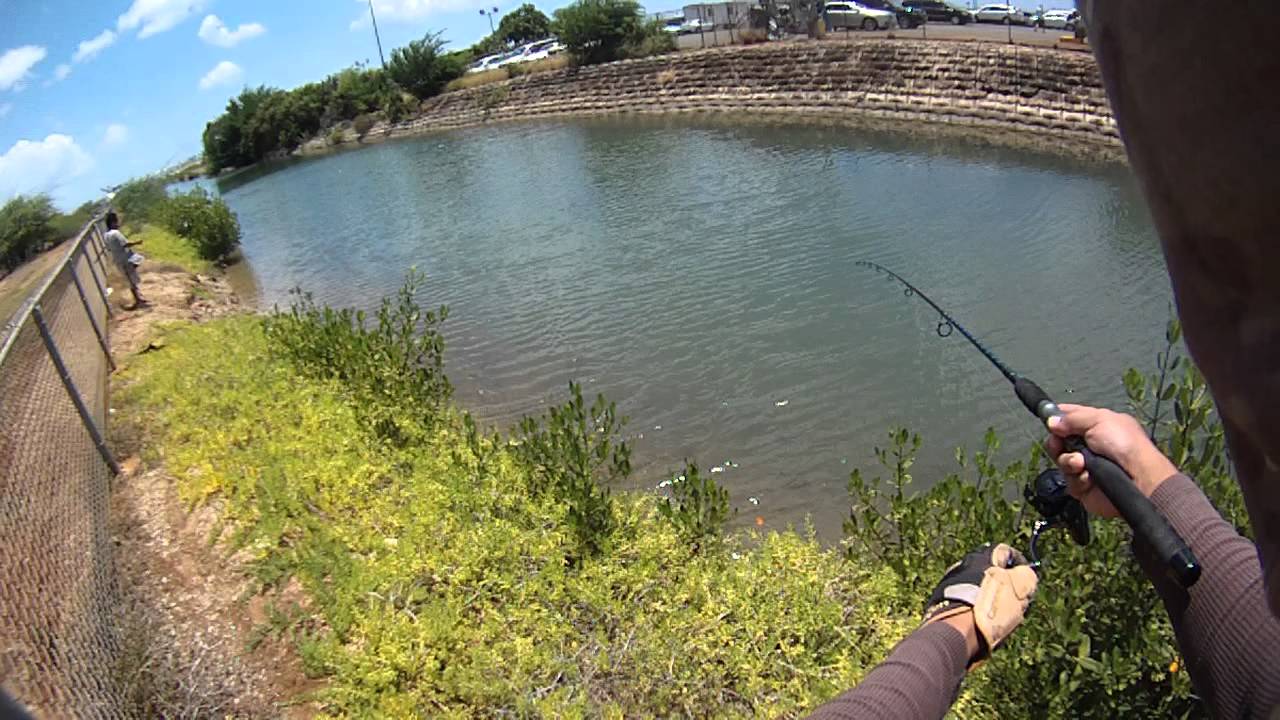BSFO - August 27, 2014 Keehi Lagoon Park