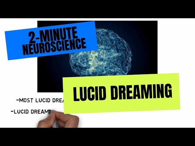 2-Minute Neuroscience: Lucid Dreaming
