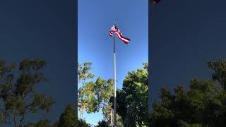 Veterans Day
