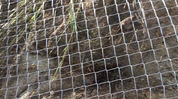 DC Rope Access Geotechnical Work @ Banya, Karlovo, Bulgaria