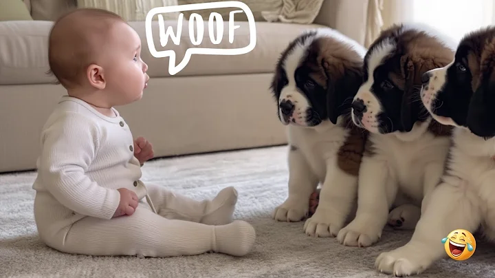 Video 11609221: funniest cats dogs compilation, laugh cats dogs funny