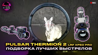 10 лучших выстрелов с тепловизионного прицела Pulsar Thermion 2 LRF XP50 PRO