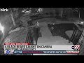 Family of bears roams near Dauphin County homes