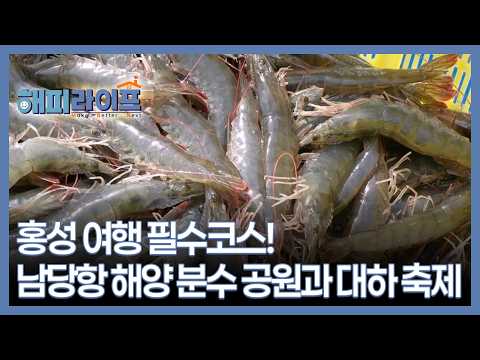 홍성 여행 필수코스! 남당항 해양 분수 공원과 대하 축제 MBN 260922 방송