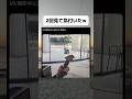 二回目でこの奇跡にやっと気づくw #おもしろ #おすすめ #shorts