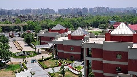 IPU CET RESULT 2020:  IPU CET counsilg, answer key, cut off