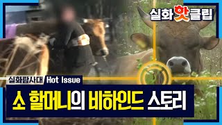 [실화탐사대] 소 할머니의 비하인드 스토리 전격 공개, MBC 210626 방송