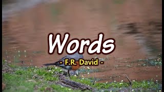 Words - F.R. David (KARAOKE VERSION) chords