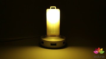 Ledunia ESP8266 WS2812b Neopixel Music Visualisation