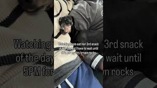 Honest I Cave We Share My Snackies 