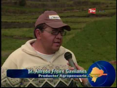 Ecuador Agropecuario 10-06-2016