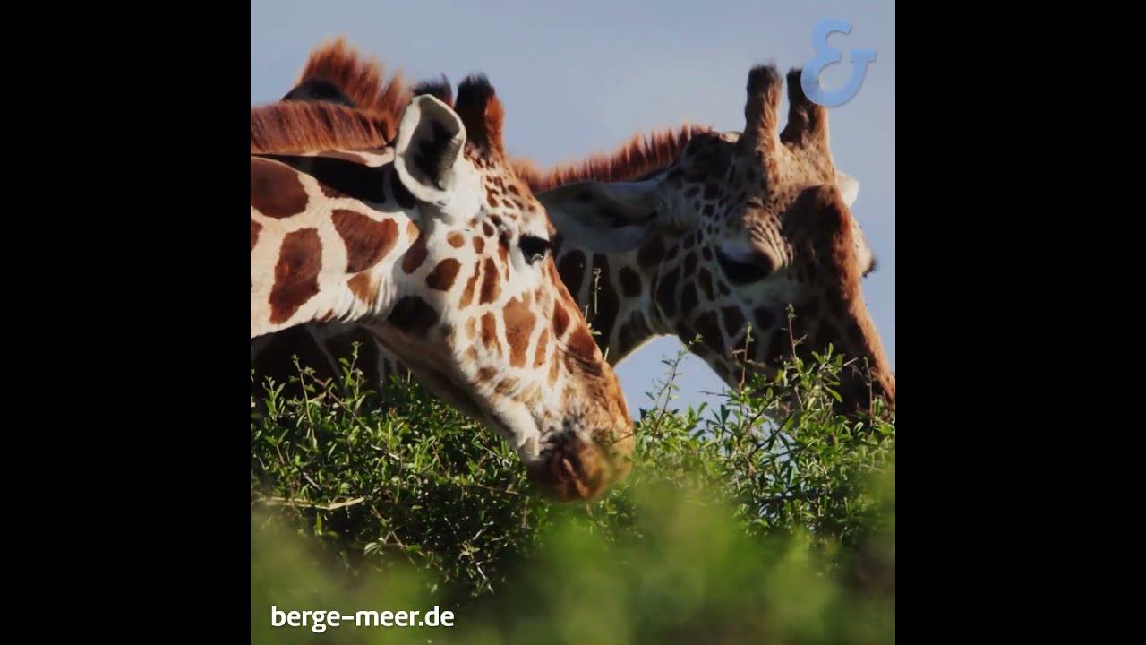 Mehr Reisen, mehr entdecken 🌏 | Berge & Meer