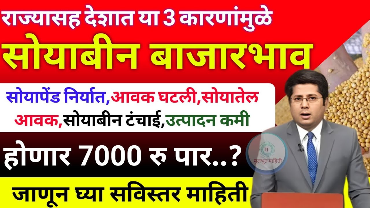या 3 कारणांमुळे सोयाबीन दर 7000 रु होणार| soyabean bajar bhav today|soyabean bhav today