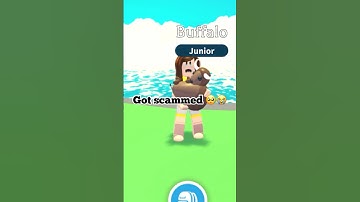 My Adopt me Journey 🥺✨ #shorts #adoptme #roblox