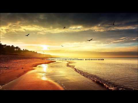 Shanahan — APEK & Shanahan Feat. Andrew Jackson - Broken Souls (Steve Allen Remix)