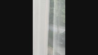 Shooting near Aurora Avenue