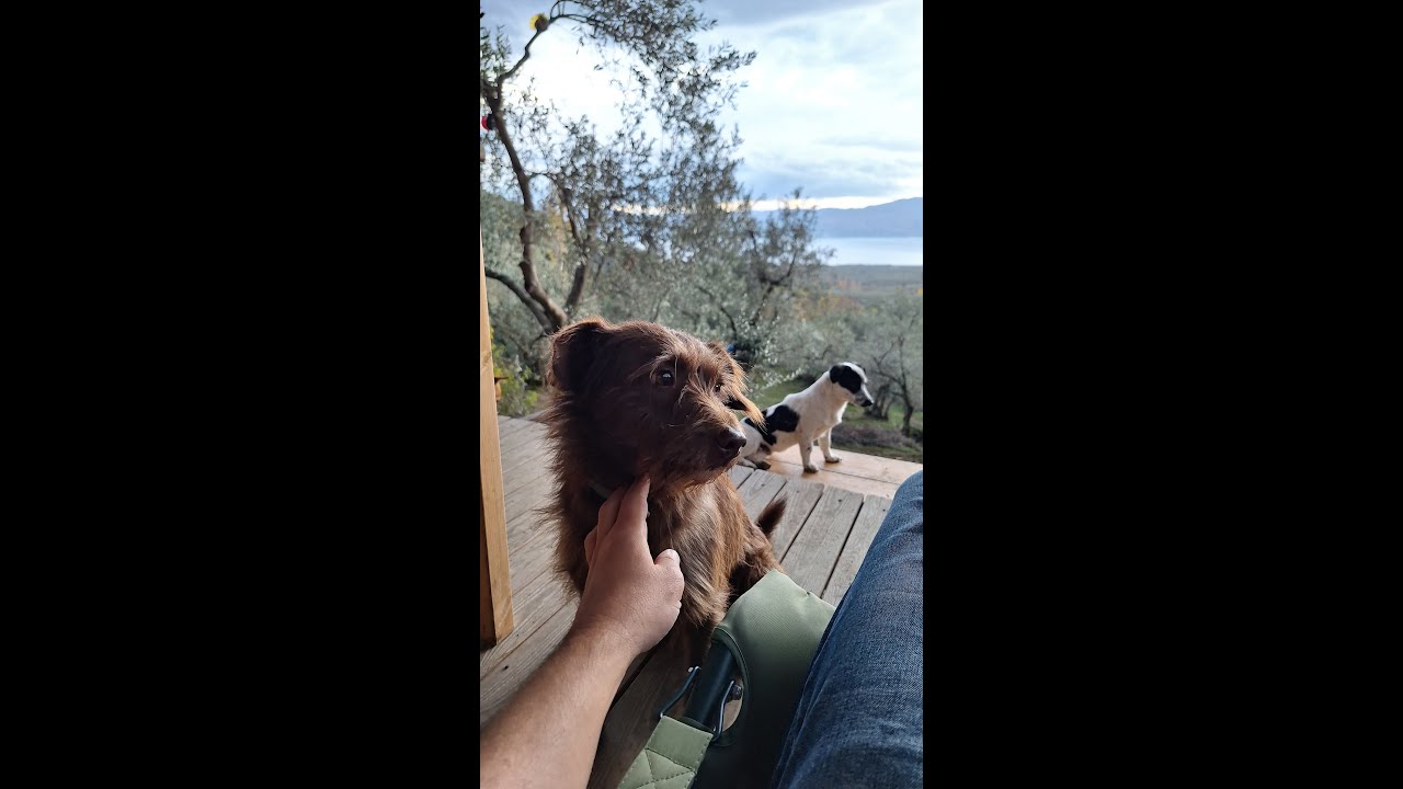 Yağmur ve Güneşin Arasında  Dostlarla Kulübede Bir Kış Günü