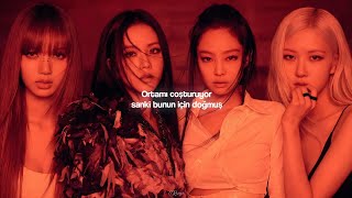 Blackpink - Me And My (Türkçe Çeviri)