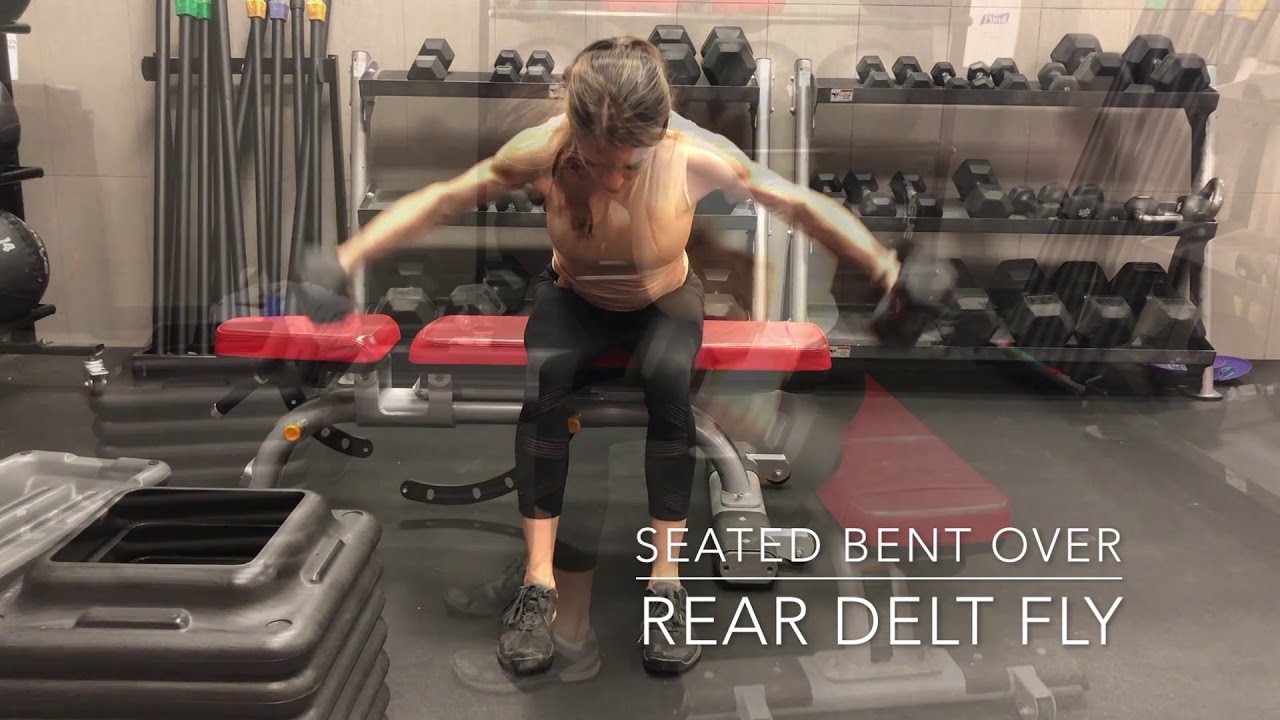 Seated bent over rear delt fly - YouTube