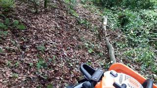 Can Am Outlander 1000 Max xt-p beim Buche rücken