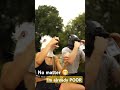 #funny #trending #trendingshorts #trend #trendingvideo #trendingreels #trendingstatus