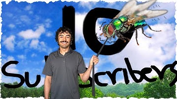 10 SUBSCRIBER FLY SPECIAL!