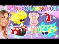 Making ALL The *NEW* LADYBUGS *NEON* In Adopt Me! (Roblox)