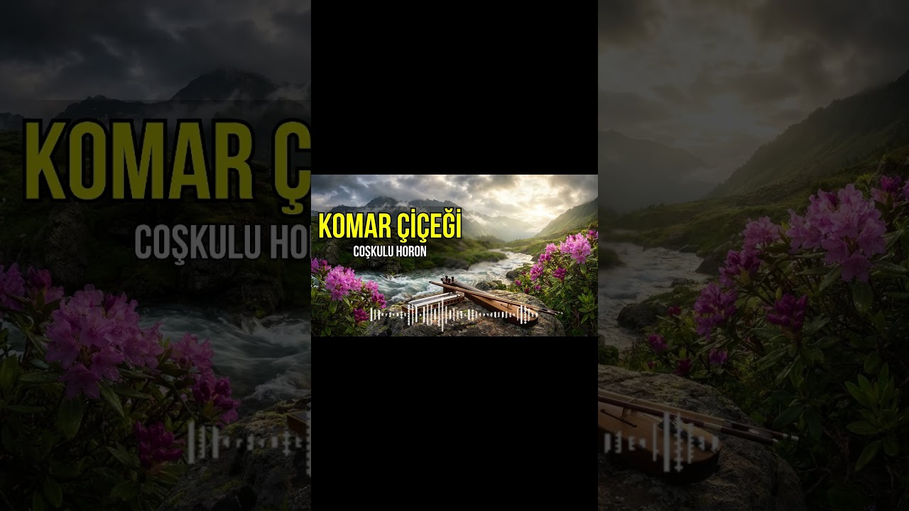 Irmağın Boyunda Açan Komar Çiçeği 🌸 #karadeniz #shorts