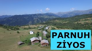 Parnuh-Zi̇yos